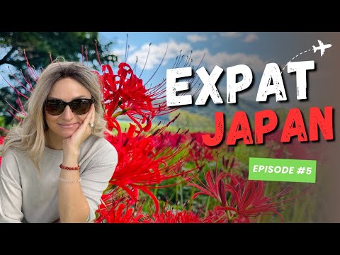 Expat Life in Japan! - Ep #5: DIY Home Projects | Local Japanese Discoveries