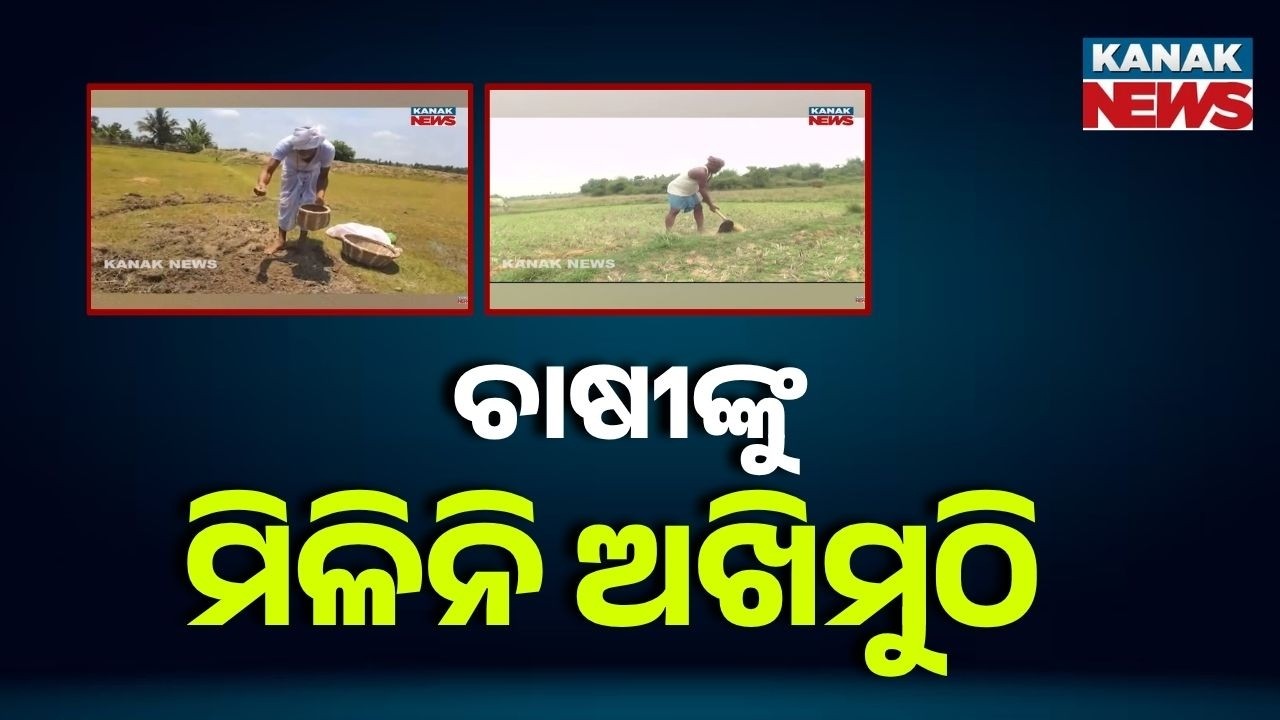 Akshaya Tritiya Tomorrow But No Seeds For Odisha Farmers!