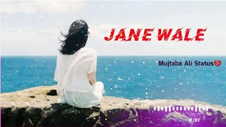 Jane Wale Lot Kar Tu Aaya Kyun Nahin  Female Sad Status For Whatsapp  Mujtaba Ali Status