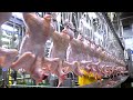  amazing mass production spicy chicken ribs making process  korean chicken factory