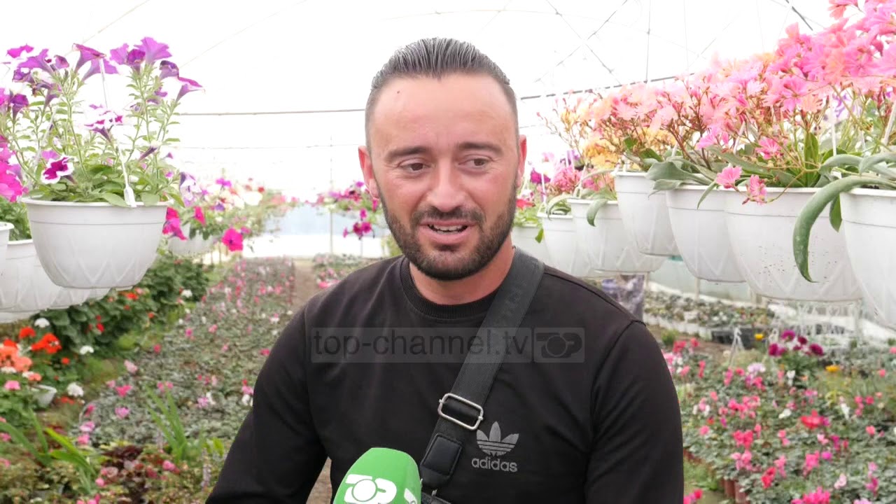 Nga perimet tek lulet/ Fermerët gjejnë hapësira të reja në treg - Top Channel Albania - News - Lajme