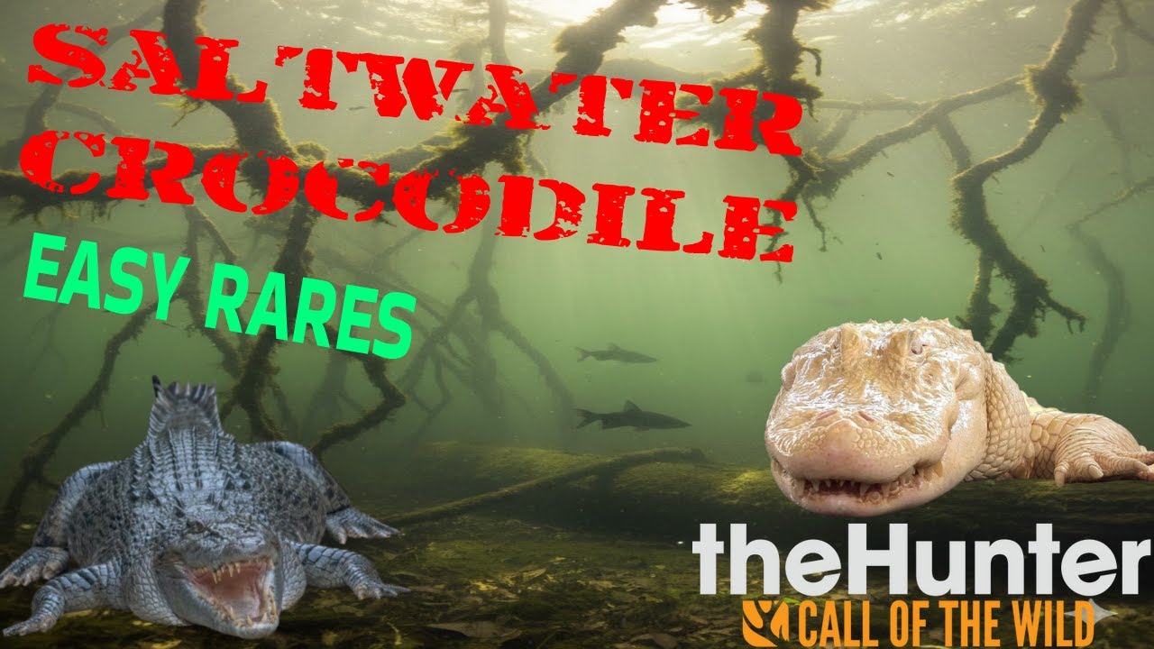 Make Money FAST In TheHunter Call of the Wild! ─ Easy Diamonds ─ TheHunter Call of the Wild