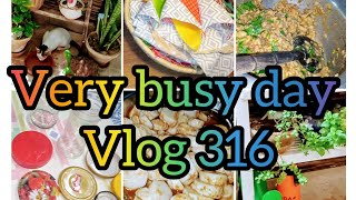 A very busy day/new recipe/sewing/My daily routine/Vlog 316/Sindhi