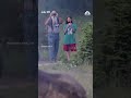 Man tossed by Yellowstone bison speaks out from hospital bed