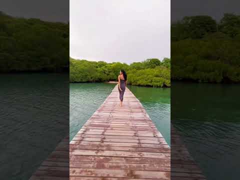 Marine life filmed on a Menjangan Island trip