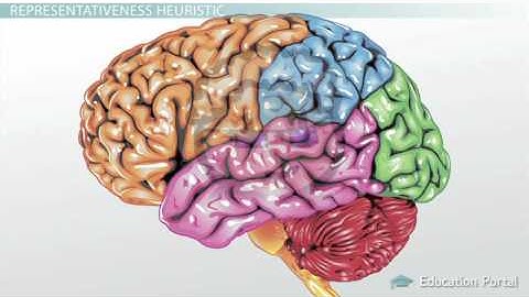 Types of Heuristics Availability, Representativeness & Base