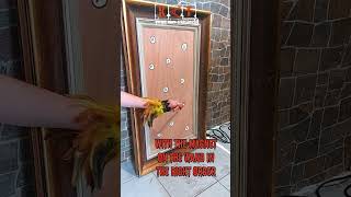 Magnet Sequence Puzzle for Escape Rooms