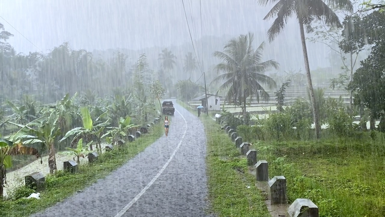 Rain in a beautiful hilly village | Indonesian rural atmosphere | sleep therapy
