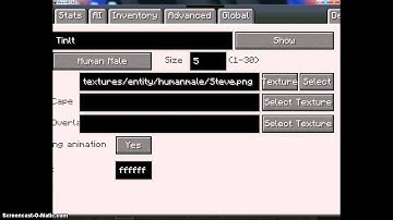 Custom NPCs Tutorial #1: Basics