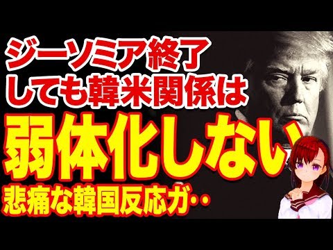 【ジーソミア破棄】「終了しても米韓同盟は弱体化しない」←!!!???【韓国制裁】【韓国ニュース】
