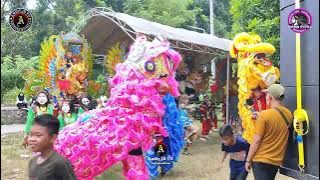 KAKANGE BLENGER - TRI BUANA KDI‼️LONCING PERDANA RUNDA PUTRA BREWOG audio‼️Gedangan Tersi 2024