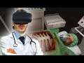 محاكي الجراح | نظارة الواقع الأفتراضي