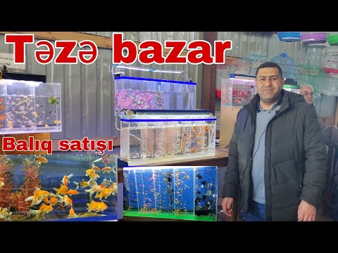 Təzə bazar (balıq satışı) #mubarizemintv #tezebazar @mubarizemintv