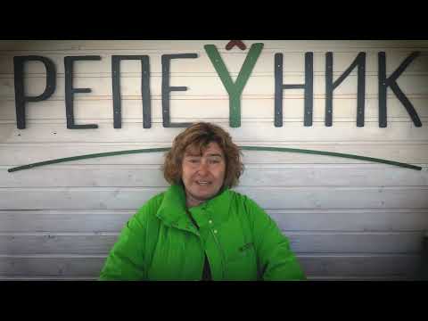 Мятная Одиссея или как мята изменила нашу жизнь.