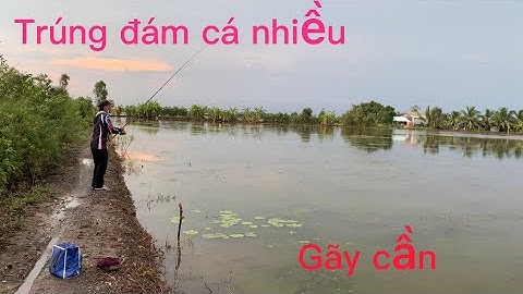 Câu cá lóc cuối mùa lũ và cái kết 🤣 #caucaloc #lure