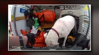 Two people facing charges after a dog, cat were locked inside a truck in 98-degree heat