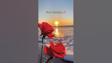 Good Morning 🌅🌹💞 WhatsApp Status || #youtube #nature #shorts #goodmorning ||