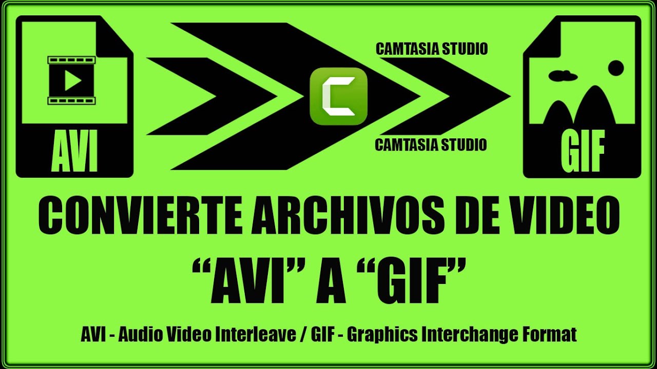 Convertir archivos de video avi a gif - Camtasia Studio 2025