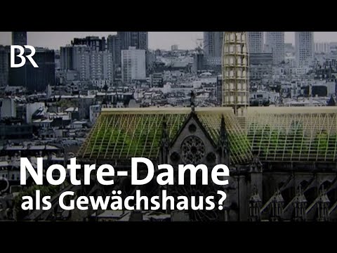 Video: Wird Notre Dame einer Konferenz beitreten?