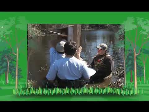 Champions of the Environment   Barnwell County Career Center