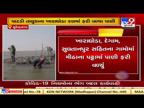 Narmada canal water enters Kharaghoda desert, salt makers face huge loss | Tv9GujaratiNews