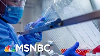 Drug Company CEOs Issue Vaccine Safety Pledge | Morning Joe | MSNBC