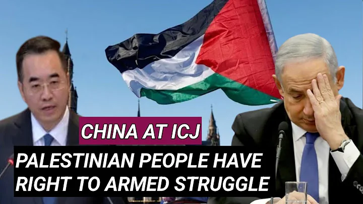 China at ICJ:"Palestinian people have the RIGHT to armed struggle - DayDayNews
