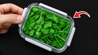 Hoe Koriander 1 Jaar Lang Bewaren Zonder Te Bederven.