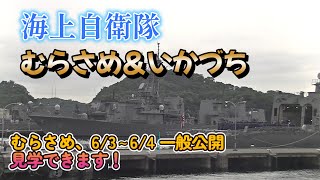むらさめ型護衛艦 むらさめ いかづち むらさめ見学できます!