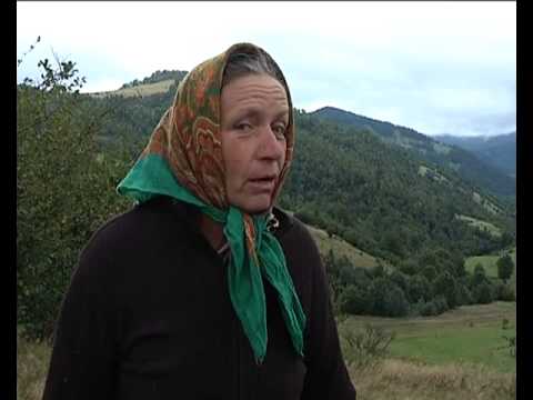 Закарпаття....