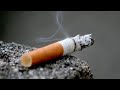 نعيم الشيخ حالات واتساب ياقلبي انسا حبهم ونسا عشقهم اشتراك بالقناة