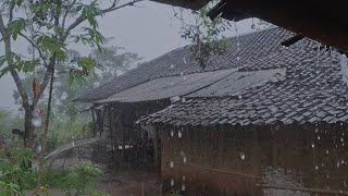 Only the Sound of Heavy Rain & Thunderstorms Will Make You Sleep Soundly  Rain in the Village