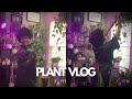 plant vlog dump 🪴 plant shopping, new plant haul, plant mom chores, channel update, and more!