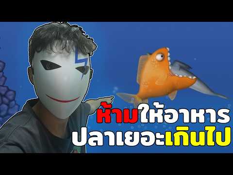 ห้ามให้อาหารเยอะเกินไป... 🐟💀