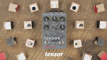 Red Panda - Tensor