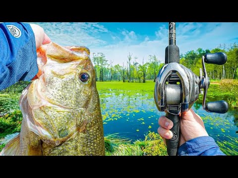 ￼ Small pond bass fishing ￼