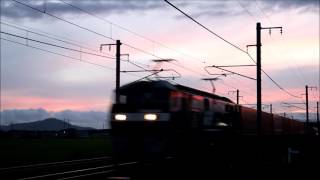 【JR Freight】 53レ EF210-150 2016/07/16 4:41