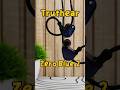 Распаковка IEM наушников Truthear Zero Blue 2 #truthear#techtok#iem#распаковка#наушники#тренд#топ