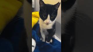 Allahın Manyağı Gece Gece Tribe Soktu Beni Yaa Şfet