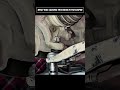 What Was Causing This Noise in the Suspension?