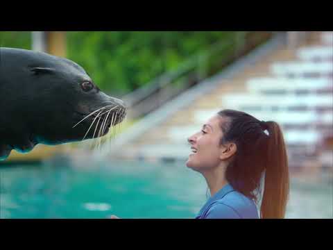 Park to Planet. SeaWorld.