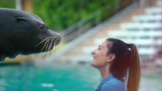 Park to Planet. SeaWorld.