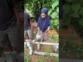 ziarah ke kuburan mamakku🥹 #asrindabasrii #percobaanasrinda #jalanjalanasrinda