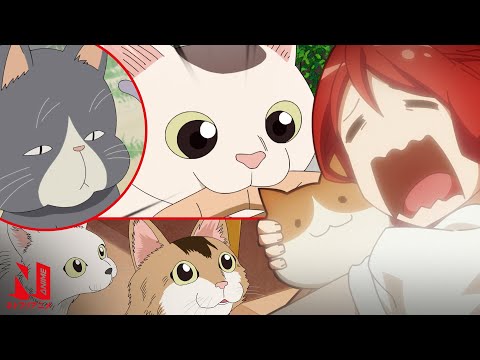 Iconic Anime Cats | Anime Music Video | AMV | Netflix Anime