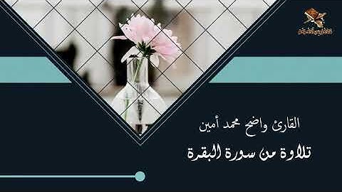 جديد القارئ محمد أمين واضح | تلاوة من سورة البقرة