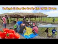 Linh Philip || Lần Thu Hoạch Cho Hiệu Quả Kinh Tế Cao Nhất Từ Trước Đến Nay Trong Việt Phi Farm