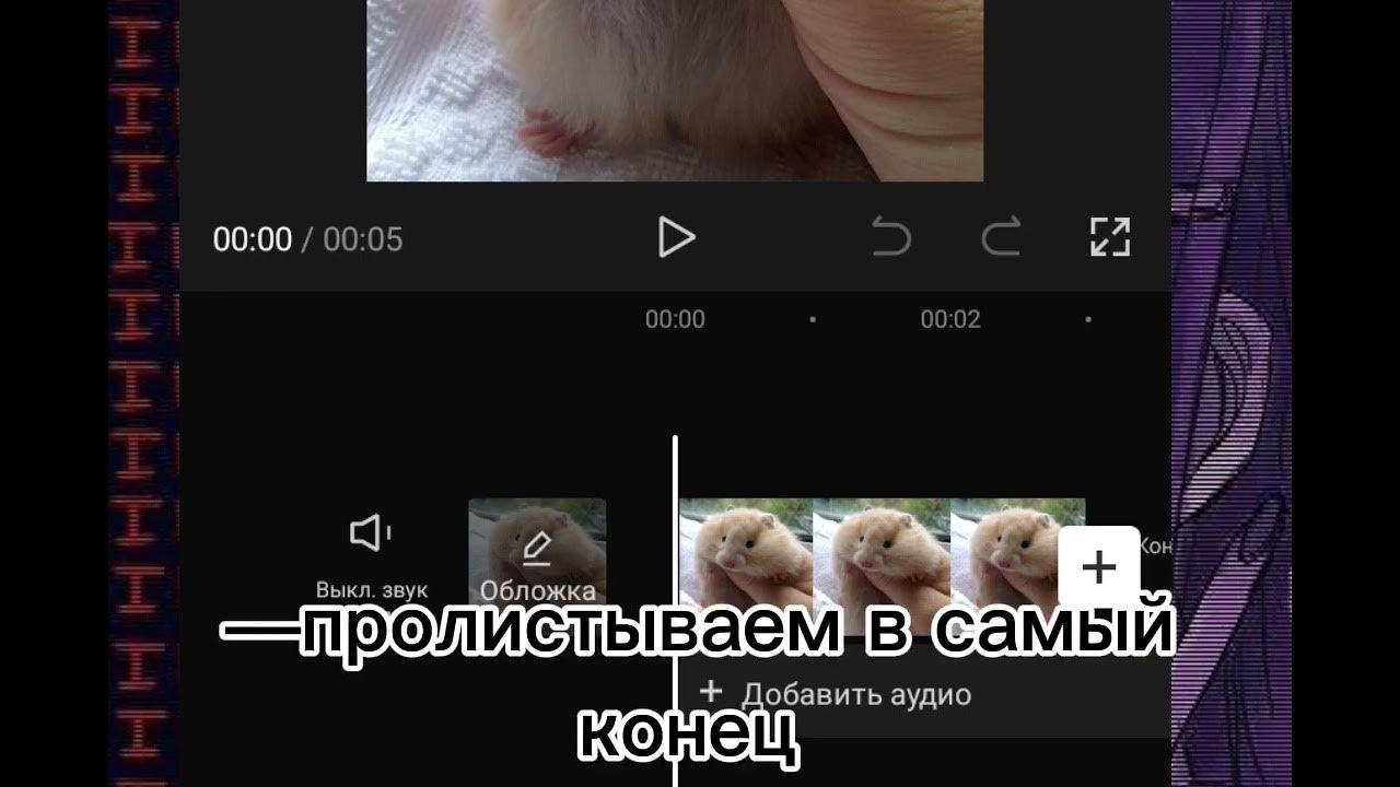 Шаблоны кап кут для видео из тик