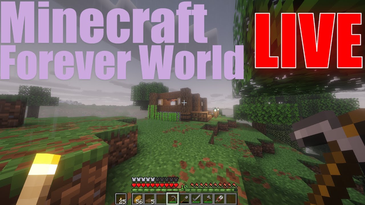 My Minecraft Forever World LIVE - YouTube