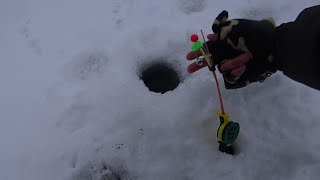 Все разъехались ,а клев пошёл! Зимняя рыбалка на Оке 2021!