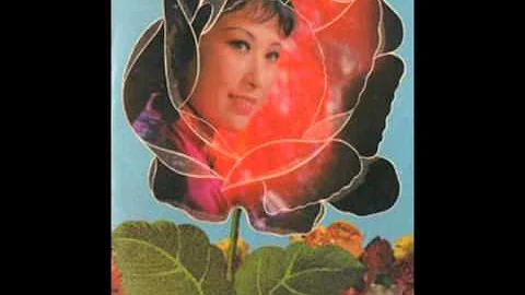 Qian Ding - Wang Zhaojun  - 1970s